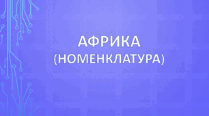 Африка (номенклатура)