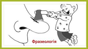5. Фразеологія