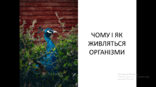Презентація на тему "Чому і як живляться організми?"