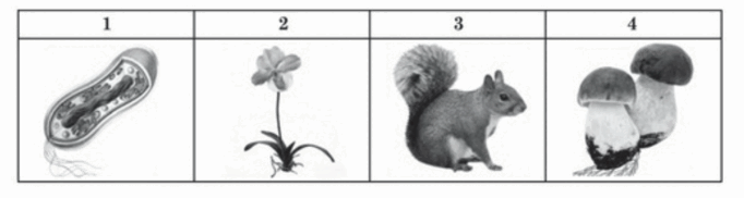 0500ukpe-986d-682x182.png