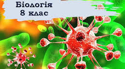 Їжа, компоненти. Склад та значення харчових продуктів. Харчові та енергетичні потреби людини