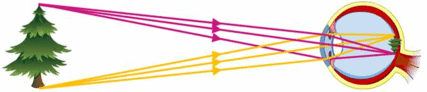 0500uot6-e2ae-427x92.png