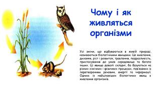 Презентація на тему "ЧОМУ І ЯК ЖИВЛЯТЬСЯ ОРГАНІЗМИ""