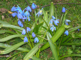 0500upp1-5b54-275x206.jpg