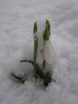 0500upp5-3463-157x209.jpg