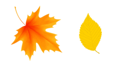 0500uvle-2a10-242x136.png