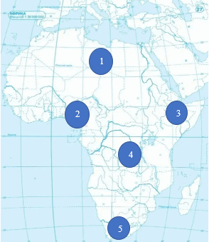 0500uvzp-b9ef-294x339.png