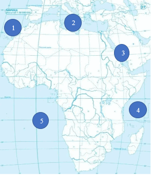 0500uw32-a215-294x342.png