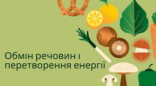 Презентація на тему: "Обмін речовин та перетворення енергії" 10 клас