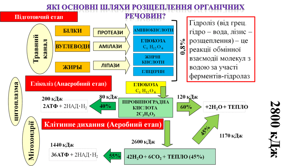 0500v1de-f673-940x544.png