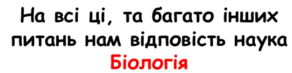0500v2jg-be53-292x73.png