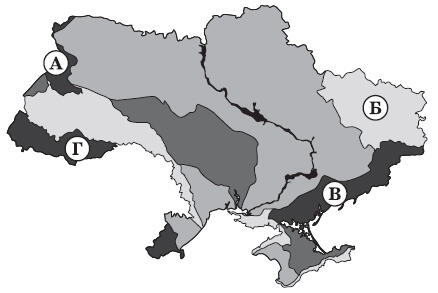 0500v43s-5edb-438x293.jpg
