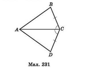 0500v4q0-c9aa-305x235.jpg