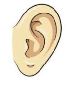 0500v718-2d6b-139x187.png