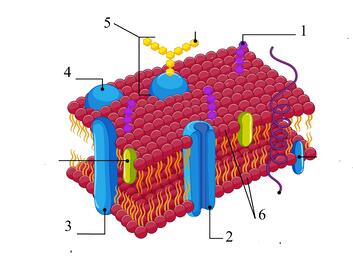 0500v7cl-0ded-353x257.jpg