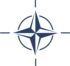 0500v7ln-cd00-231x218.png