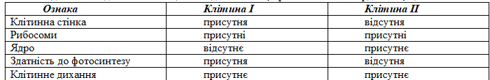 0500vbje-55a8-712x117.png