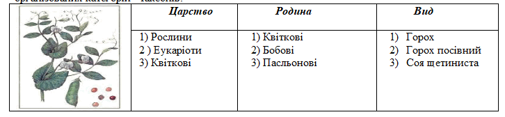 0500vbjp-5923-726x168.png