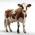 Cow Изображения – скачать бесплатно на Freepik