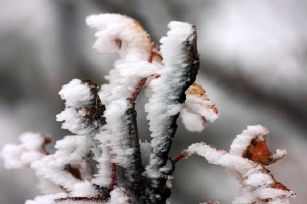0500vgn1-bc98-600x400.jpg