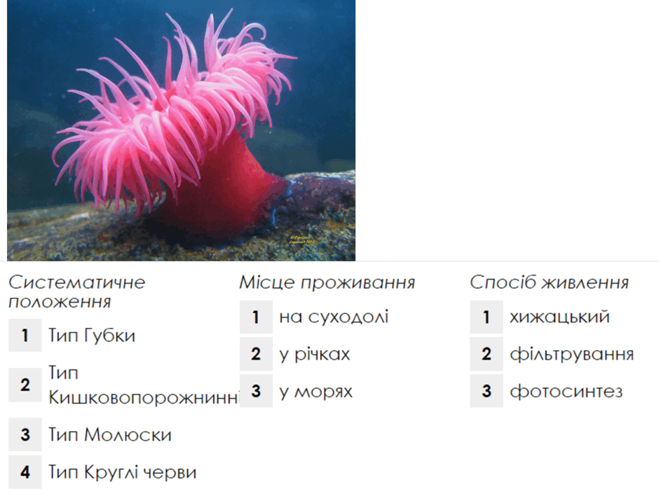 0500vjz2-2c5e-940x718.png