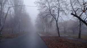 Біорізноманіття нашої планети як наслідок еволюції. 