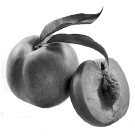 0500vkua-1b64-135x137.png