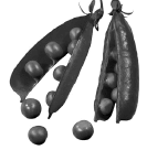 0500vkud-0f05-133x136.png
