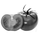 0500vkug-a1e9-135x137.png