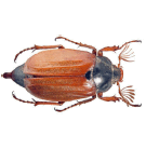 0500vkx8-5bd7-135x138.png