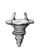 0500vkzd-cf00-133x170.png