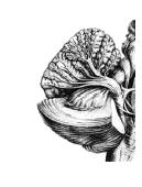 0500vkzh-bef7-129x170.png