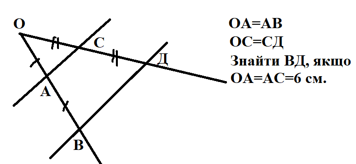 0500vmia-e234-731x338.png