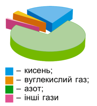 0500vnsb-462e-454x493.png