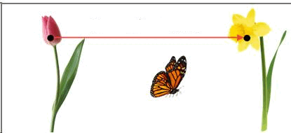 0500vpuw-5b30-415x190.png