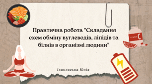 Практична робота "Складання схем обміну білків, вуглеводів, ліпідів в організмі людини"