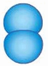 0500vrw8-4f99-213x295.png