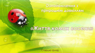 Ознайомлення з природнім довкіллям. Старша група. " Життя комах восени "