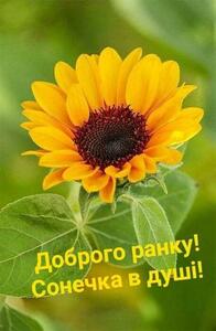 0500vto1-5716-196x300.jpg