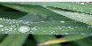 0500vu4h-fff2-104x52.png