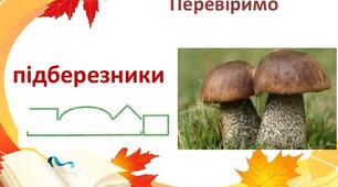 Будова слова. Орфографія ( тестові завдання). Которльна рбота