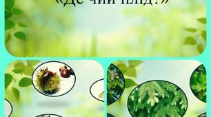 Дидактична гра " Де чий плід?"