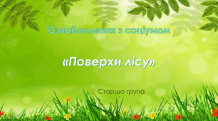 Ознайомлення з соціумом. Старша група. "Поверхи лісу"