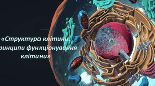 Узагальнення і систематизація знань з тем: «Структура клітини», «Принципи функціонування клітини».