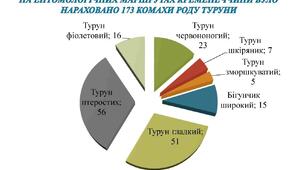 Зразок наукової роботи "Туруни"