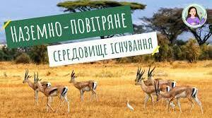 Наземно-повітряне середовище існування