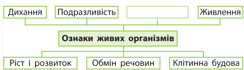 0500w13v-360d-940x272.png