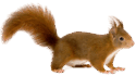 0500w4j8-17d8-125x70.png