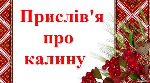 Дидактичний матеріал "Прислів'я про калину"