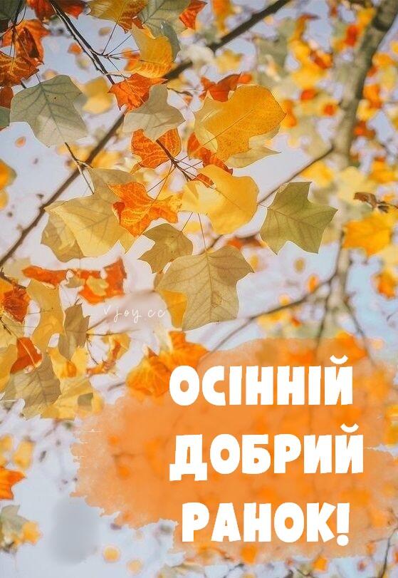 Красиві картинки - Доброго осіннього ранку! (80 фото)